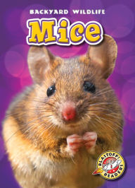 Title: Mice, Author: Kari Schuetz