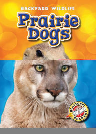 Title: Mountain Lions, Author: Kristin Schuetz