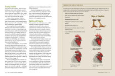 Alternative view 3 of The Chicken Health Handbook, 2nd Edition: A Complete Guide to Maximizing Flock Health and Dealing with Disease