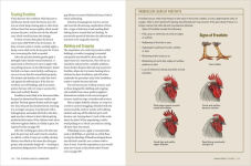 Alternative view 10 of The Chicken Health Handbook, 2nd Edition: A Complete Guide to Maximizing Flock Health and Dealing with Disease