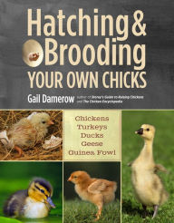 Title: Hatching & Brooding Your Own Chicks: Chickens, Turkeys, Ducks, Geese, Guinea Fowl, Author: Gail Damerow