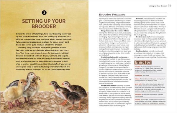 Hatching & Brooding Your Own Chicks: Chickens, Turkeys, Ducks, Geese, Guinea Fowl