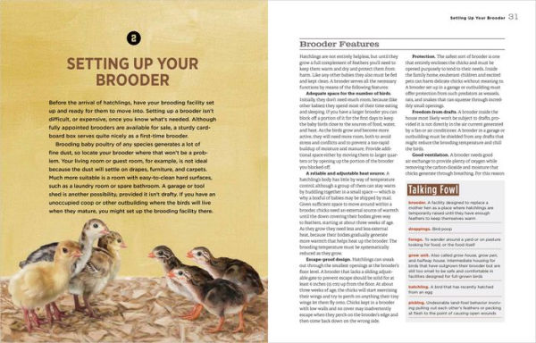 Hatching & Brooding Your Own Chicks: Chickens, Turkeys, Ducks, Geese, Guinea Fowl