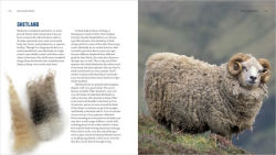 Alternative view 4 of The Spinner's Book of Fleece: A Breed-by-Breed Guide to Choosing and Spinning the Perfect Fiber for Every Purpose