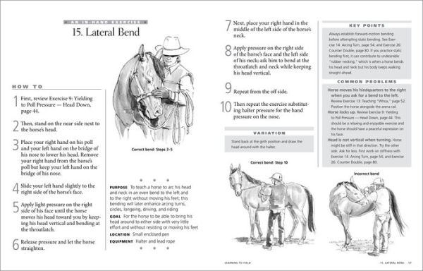 101 Ground Training Exercises for Every Horse & Handler