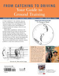 Alternative view 10 of 101 Ground Training Exercises for Every Horse & Handler