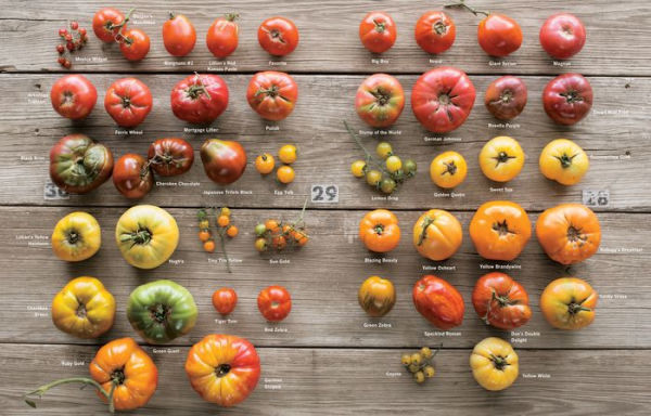 Epic Tomatoes: How to Select and Grow the Best Varieties of All Time