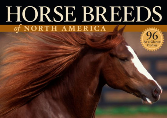 Horse Breeds Of North America The Pocket Guide To 96