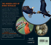 Alternative view 20 of Into the Nest: Intimate Views of the Courting, Parenting, and Family Lives of Familiar Birds