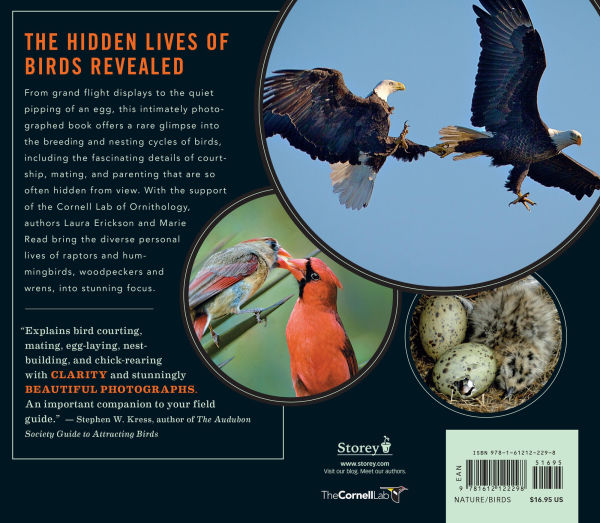 Into the Nest: Intimate Views of the Courting, Parenting, and Family Lives of Familiar Birds