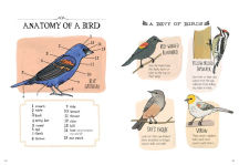 Alternative view 4 of Nature Anatomy: The Curious Parts and Pieces of the Natural World