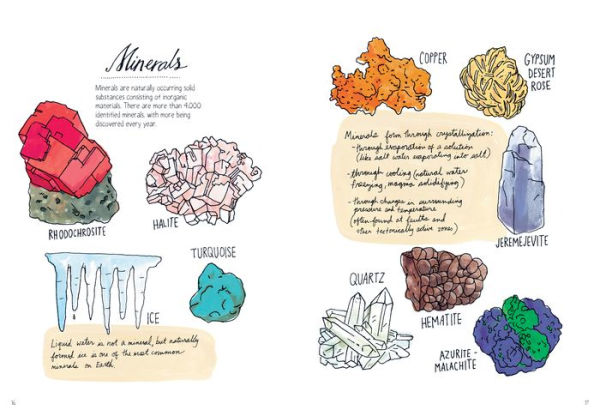 Nature Anatomy: The Curious Parts and Pieces of the Natural World