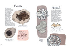 Alternative view 8 of Nature Anatomy: The Curious Parts and Pieces of the Natural World