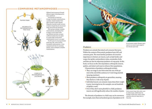 Farming with Native Beneficial Insects: Ecological Pest Control Solutions