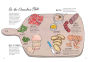 Alternative view 7 of Food Anatomy: The Curious Parts & Pieces of Our Edible World