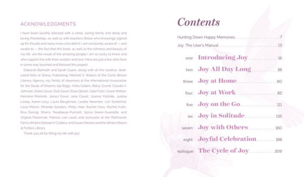 Joy Every Moment: Mindful Exercises for Waking to the Wonders of Ordinary Life