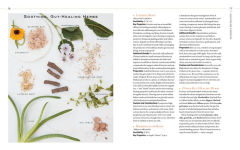 Alternative view 5 of Body into Balance: An Herbal Guide to Holistic Self-Care