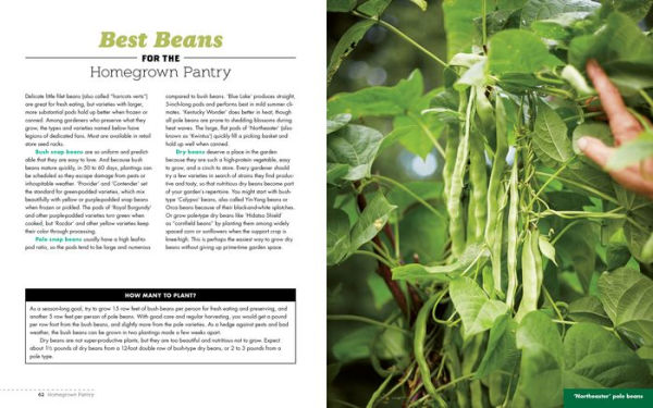 Homegrown Pantry: A Gardener's Guide to Selecting the Best Varieties & Planting the Perfect Amounts for What You Want to Eat Year-Round