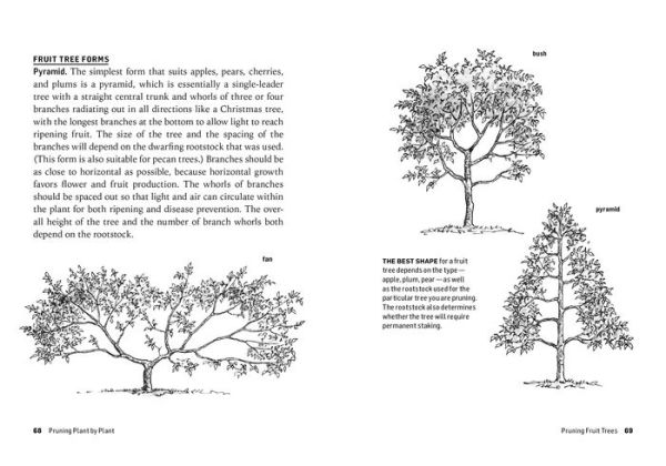 How to Prune Trees & Shrubs: Easy Techniques for Timely Trimming. A Storey BASICS® Title