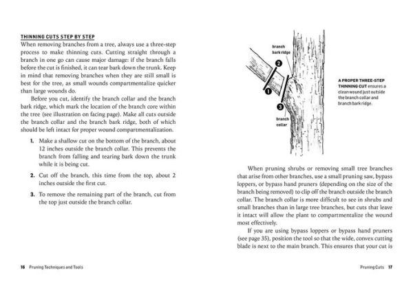 How to Prune Trees & Shrubs: Easy Techniques for Timely Trimming. A Storey BASICS® Title