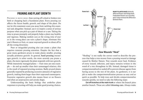 How to Prune Trees & Shrubs: Easy Techniques for Timely Trimming. A Storey BASICS® Title