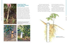 Alternative view 8 of Gardening with Less Water: Low-Tech, Low-Cost Techniques; Use up to 90% Less Water in Your Garden