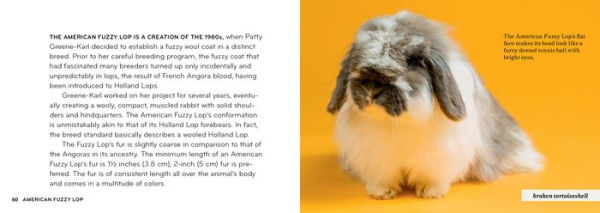 Rabbit Breeds: The Pocket Guide to 49 Essential Breeds