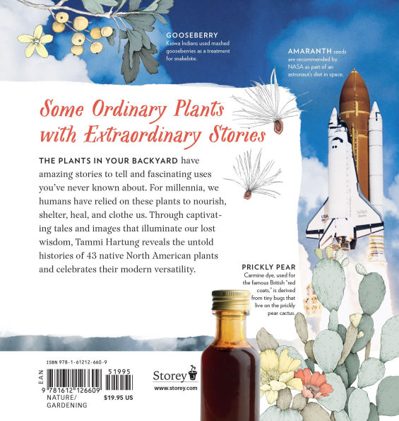 Cattail Moonshine & Milkweed Medicine: The Curious Stories of 43 Amazing North American Native Plants