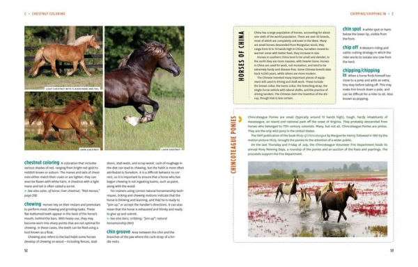 The Horse-Lover's Encyclopedia, 2nd Edition: A-Z Guide to All Things Equine: Barrel Racing, Breeds, Cinch, Cowboy Curtain, Dressage, Driving, Foaling, Gaits, Legging Up, Mustang, Piebald, Reining, Snaffle Bits, Steeple-Chasing, Tail Braiding, Trail Riding
