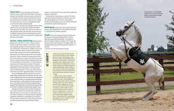 The Horse-Lover's Encyclopedia, 2nd Edition: A-Z Guide to All Things Equine: Barrel Racing, Breeds, Cinch, Cowboy Curtain, Dressage, Driving, Foaling, Gaits, Legging Up, Mustang, Piebald, Reining, Snaffle Bits, Steeple-Chasing, Tail Braiding, Trail Riding