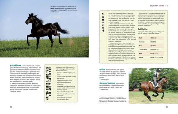The Horse-Lover's Encyclopedia, 2nd Edition: A-Z Guide to All Things Equine: Barrel Racing, Breeds, Cinch, Cowboy Curtain, Dressage, Driving, Foaling, Gaits, Legging Up, Mustang, Piebald, Reining, Snaffle Bits, Steeple-Chasing, Tail Braiding, Trail Riding