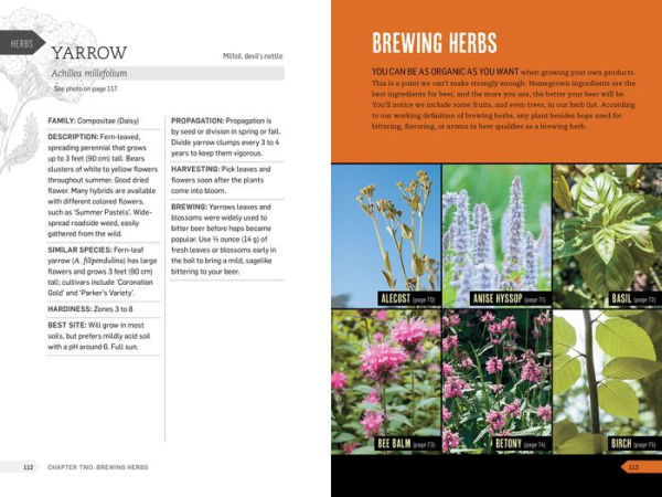 The Homebrewer's Garden, 2nd Edition: How to Grow, Prepare & Use Your Own Hops, Malts & Brewing Herbs