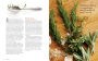 Alternative view 5 of Recipes from the Herbalist's Kitchen: Delicious, Nourishing Food for Lifelong Health and Well-Being