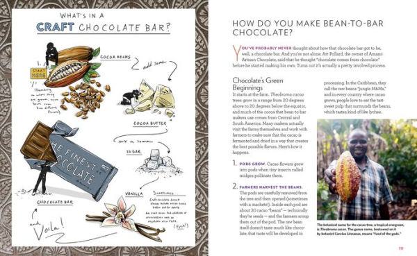 Bean-to-Bar Chocolate: America's Craft Chocolate Revolution: The Origins, the Makers, and the Mind-Blowing Flavors