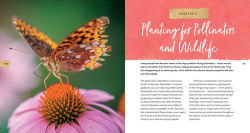 Alternative view 11 of Mini Meadows: Grow a Little Patch of Colorful Flowers Anywhere around Your Yard