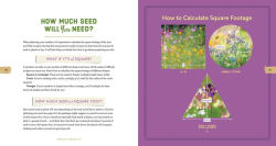 Alternative view 12 of Mini Meadows: Grow a Little Patch of Colorful Flowers Anywhere around Your Yard