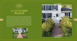 Alternative view 4 of Mini Meadows: Grow a Little Patch of Colorful Flowers Anywhere around Your Yard
