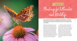 Alternative view 6 of Mini Meadows: Grow a Little Patch of Colorful Flowers Anywhere around Your Yard
