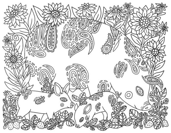 Country Life Coloring Book