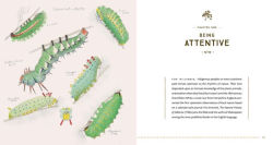 Alternative view 11 of The Naturalist's Notebook: An Observation Guide and 5-Year Calendar-Journal for Tracking Changes in the Natural World around You