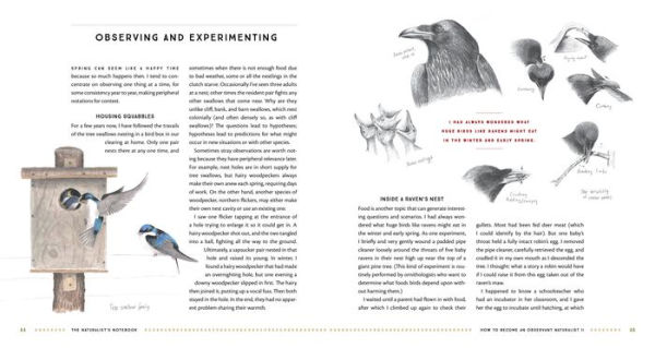 The Naturalist's Notebook: An Observation Guide and 5-Year Calendar-Journal for Tracking Changes in the Natural World around You