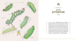 Alternative view 4 of The Naturalist's Notebook: An Observation Guide and 5-Year Calendar-Journal for Tracking Changes in the Natural World Around You