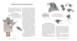 Alternative view 5 of The Naturalist's Notebook: An Observation Guide and 5-Year Calendar-Journal for Tracking Changes in the Natural World Around You