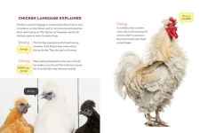 Alternative view 11 of How to Speak Chicken: Why Your Chickens Do What They Do & Say What They Say