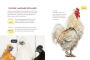 Alternative view 5 of How to Speak Chicken: Why Your Chickens Do What They Do & Say What They Say