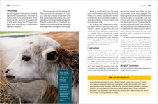 Alternative view 14 of Storey's Guide to Raising Dairy Goats, 5th Edition: Breed Selection, Feeding, Fencing, Health Care, Dairying, Marketing