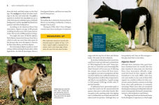 Alternative view 6 of Storey's Guide to Raising Dairy Goats, 5th Edition: Breed Selection, Feeding, Fencing, Health Care, Dairying, Marketing