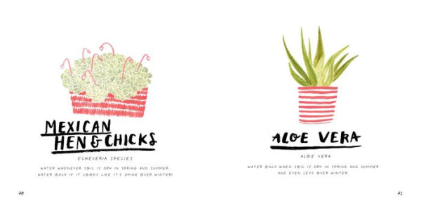 House Jungle: Turn Your Home into a Plant-Filled Paradise!