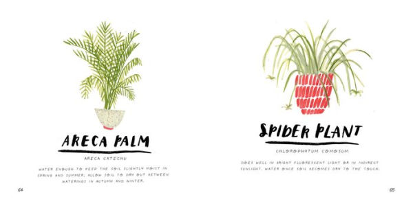 House Jungle: Turn Your Home into a Plant-Filled Paradise!