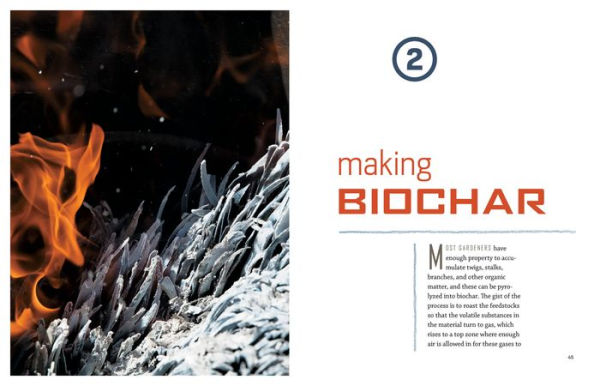 Gardening with Biochar: Supercharge Your Soil with Bioactivated Charcoal: Grow Healthier Plants, Create Nutrient-Rich Soil, and Increase Your Harvest